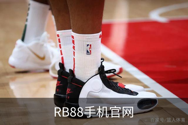 RB88手机官网公司简介配图